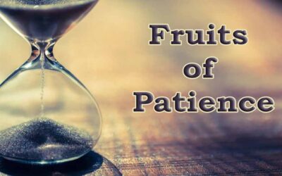 Fruits of Patience